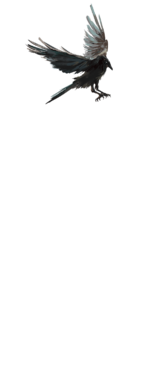corvus (white).png