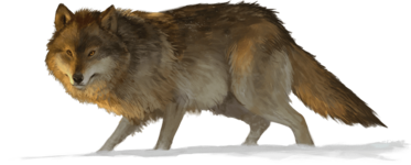 wolf.png
