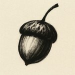 Picture1.jpg Picture1.jpg