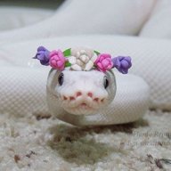Everthorn