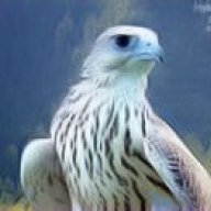 Winterhawk 99