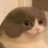 Bukkit