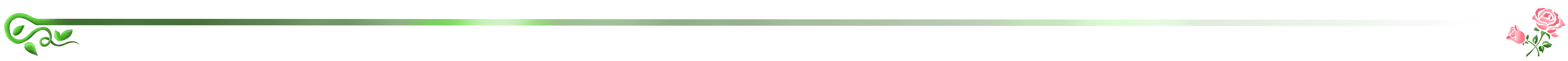 proxy.php